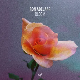 Bloom by Ron Adelaar