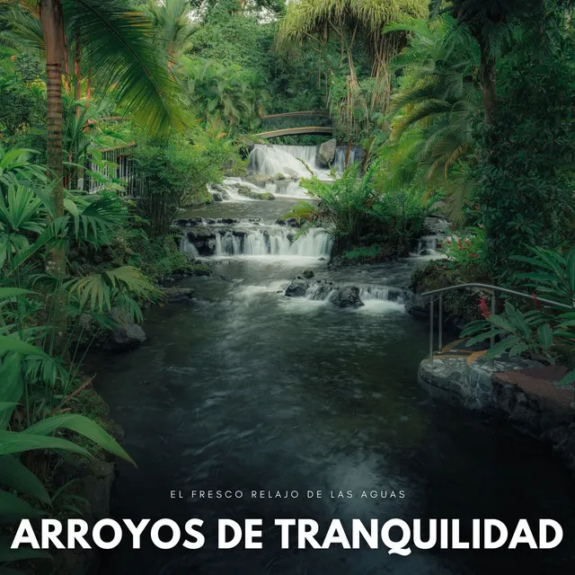 Arroyos De Tranquilidad: El Fresco Relajo De Las Aguas