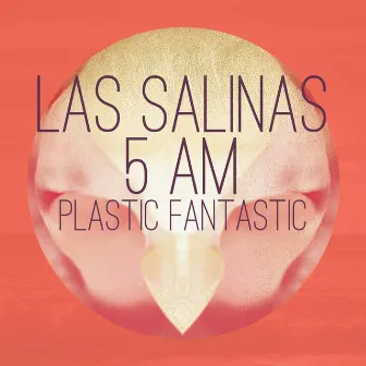 Las Salinas 5 AM by Plastic Fantastic