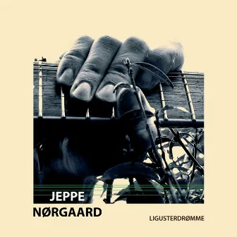 Ligusterdrømme by Jeppe Nørgaard