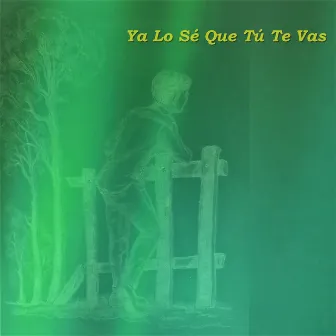 Ya Lo Sé Que Tú Te Vas by Instrumentales Sinfónicas