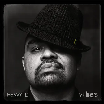 Vibes (Deluxe Edition) by Heavy D