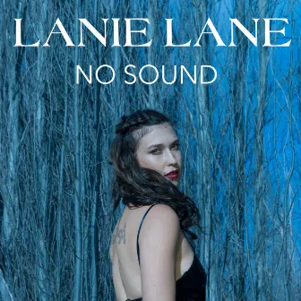 No Sound by Lanie Lane