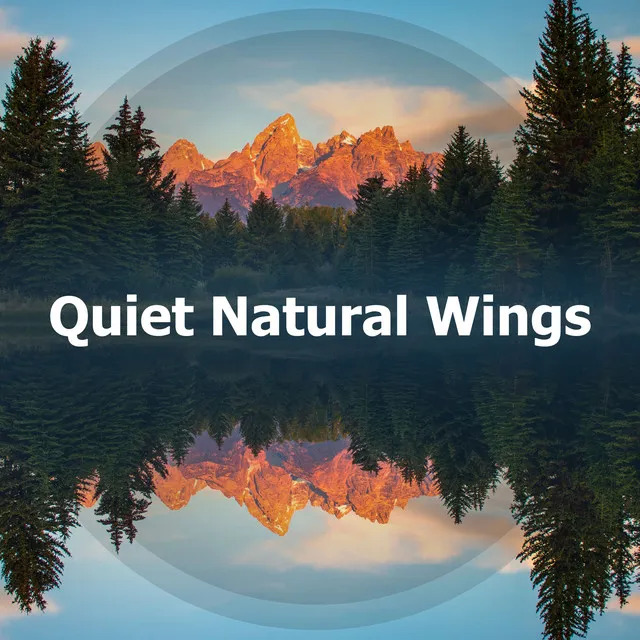 Quiet Natural Wings