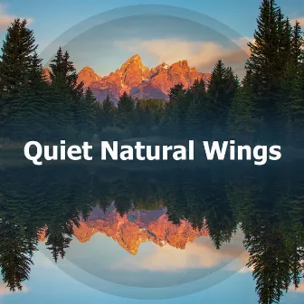 Quiet Natural Wings by Beyond North