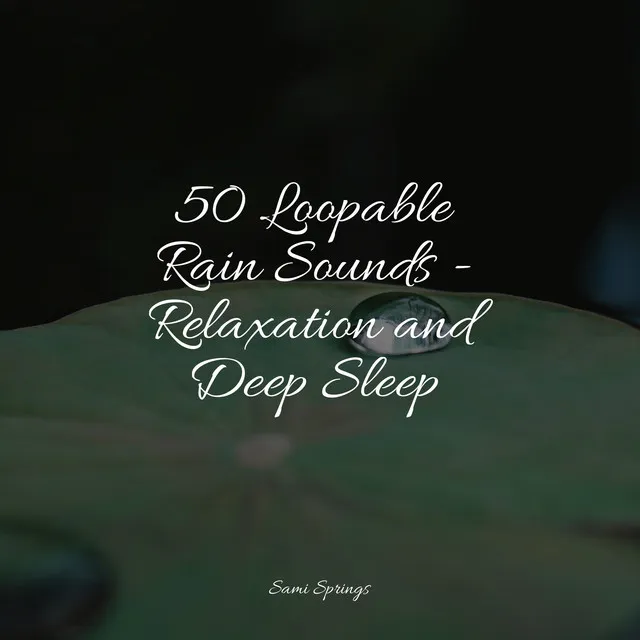 50 Loopable Rain Sounds - Relaxation and Deep Sleep