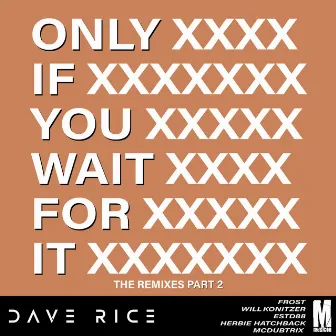 Only if You Wait for It Remixes, Pt. 2 by Dave Rice