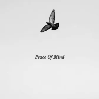 Peace Of Mind by Txby