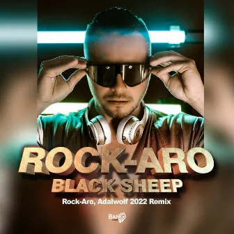 Black Sheep (2022 Remix) by Rock-Aro