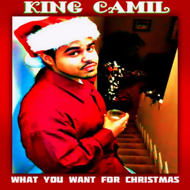 What You Want for Christmas