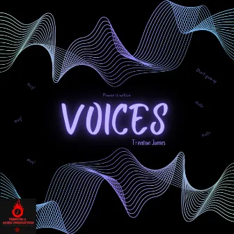 Voices by Trenton James