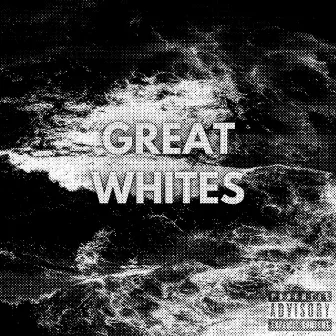 Great Whites by Diggy Metro