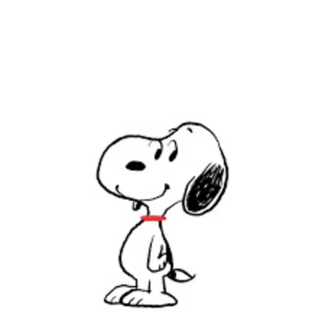 Wandering Snoopy Interlude