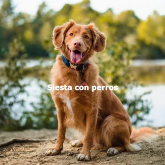 Siesta con perros by Boutique Hotel Music