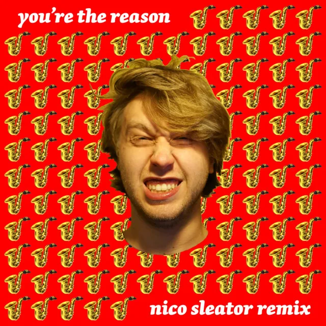 You're the Reason - Nico Sleator Remix