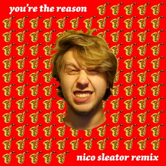 You're the Reason (Nico Sleator Remix) by Nico Sleator