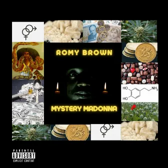 Mystery Madonna by Romy Brown