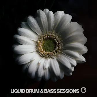 Liquid Drum and Bass Sessions 2019 Vol 2 by Dreazz