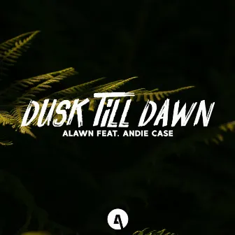 Dusk Till Dawn by Alawn