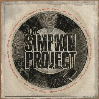 Everything You Want by The Simpkin Project