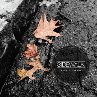 Sidewalk by Ashwin Shenoy