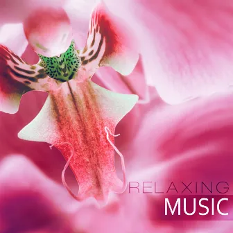 Relaxing Music – Wellness Music Spa, Pure Mind and Body with Healing Massage Music, Harmony of Senses, Therapy Music for Relax, Inner Peace by Amazing Spa Universe