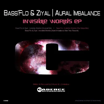 Invisible Worlds by Bass'Flo