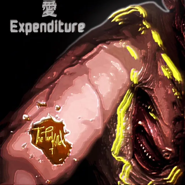 愛 expenditure