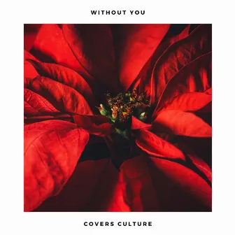 Without You (Acoustic Covers) by Acoustic Covers Culture