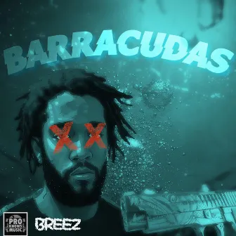 Barracudas by Breez