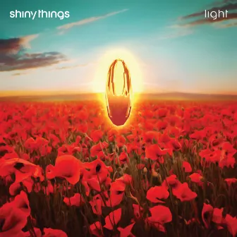 light by shiny things