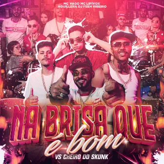 Na Brisa Que É Bom Vs Cheiro do Skunk by DJ Feeh Ribeiro