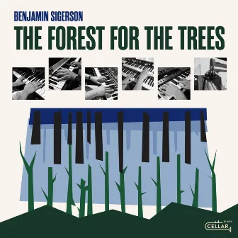 The Forest for the Trees by Benjamin Sigerson