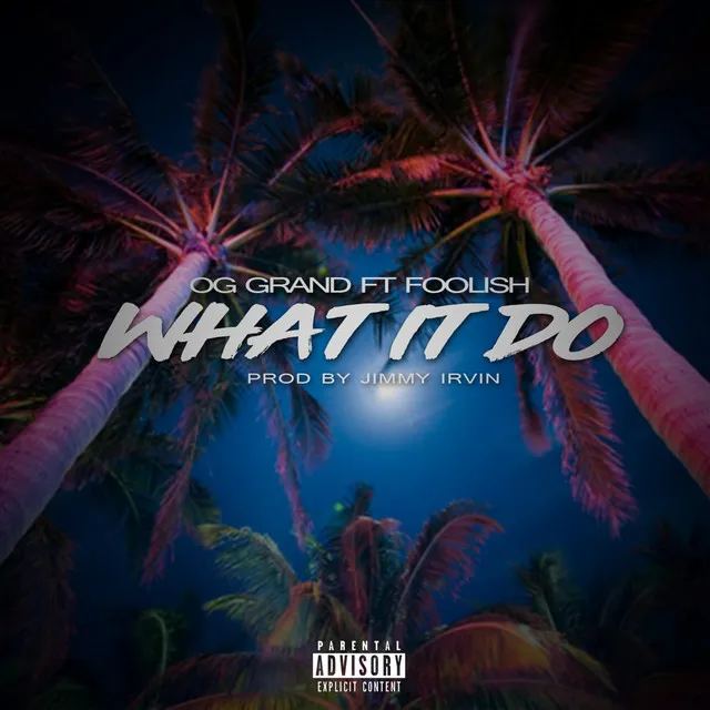 What It Do (feat. Foolish)