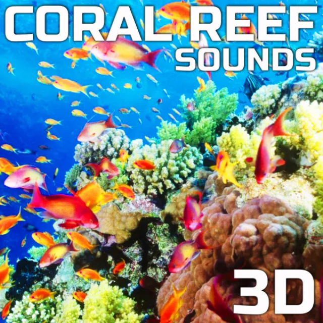 Coral Reef Sounds 3D