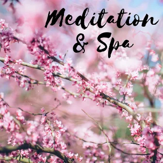 Meditation & Spa: Sound Therapy, Aromatherapy, Wellness, Stress Relief, Well Being & Serenity by Nature Sounds Spa Therapy