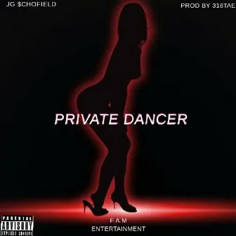 Private Dancer by JG Schofield