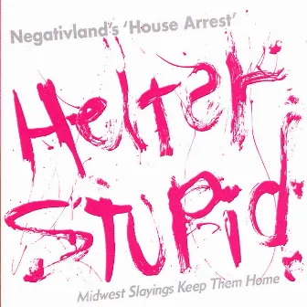 Helter Stupid by Negativland