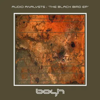 The Black Bird - EP by Audio Analysts