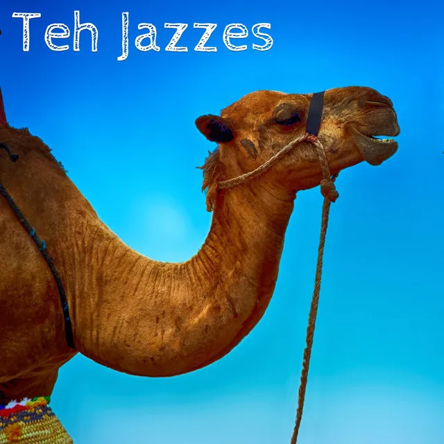 Teh Jazzes