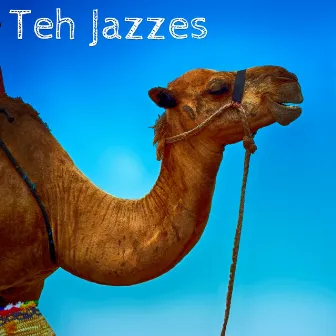 Teh Jazzes by Kevin MacLeod