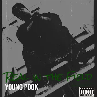 Real in the Field by Young Pook