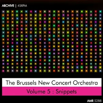 Snippets by The Brussels New Concert Orchestra