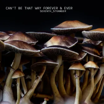 Can't Be That Way Forever & Ever by Seventh Stranger