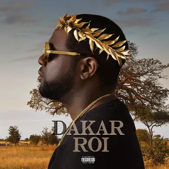 Dakar Roi by DayVinci