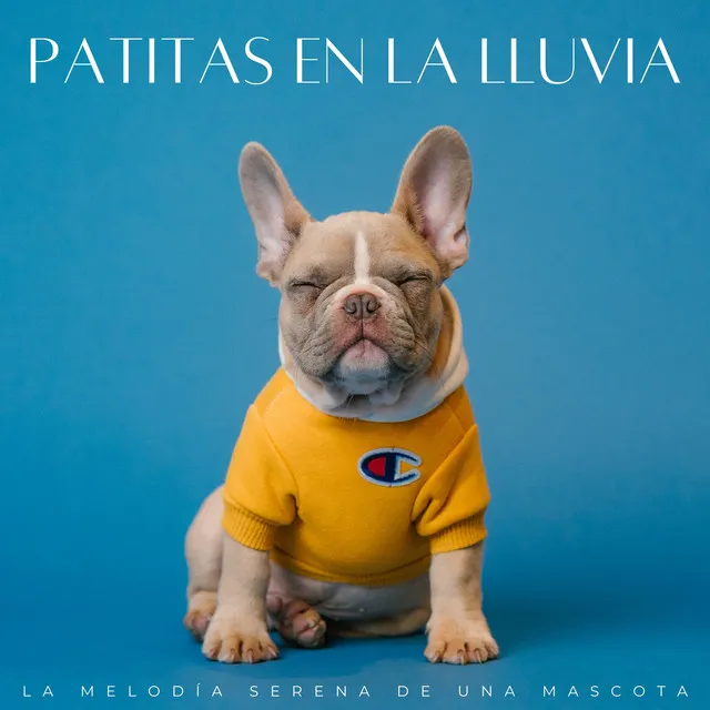 Los chicos de la música del perro