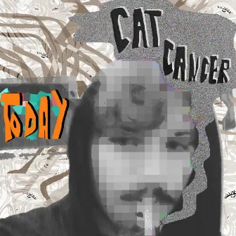 today 54213 by cat cancer