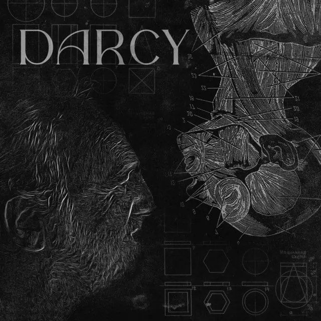 Darcy