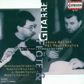 Flute and Guitar Arrangements - Mozart, W.A. / Haydn, F.J. / Diabelli, A. / Rossini, G. / Weber, G. by Janos Balint