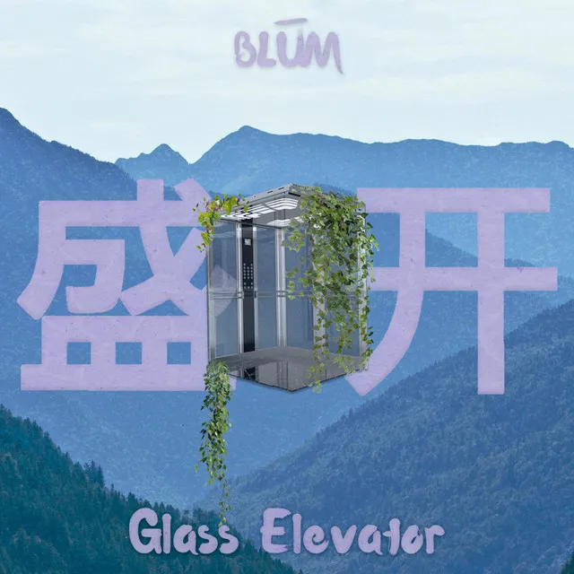 Glass Elevator